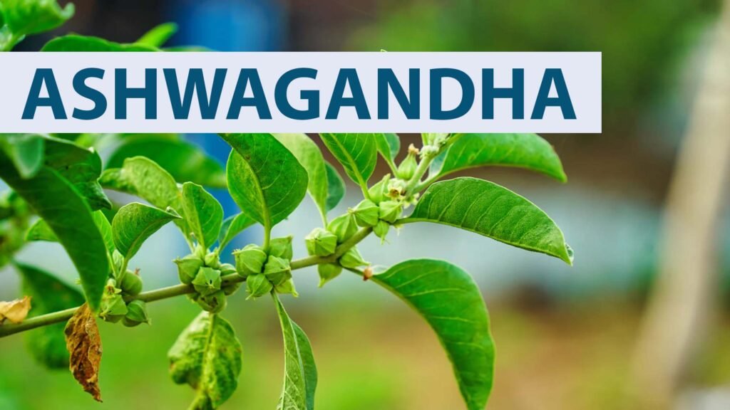 ASHWAGANDHA