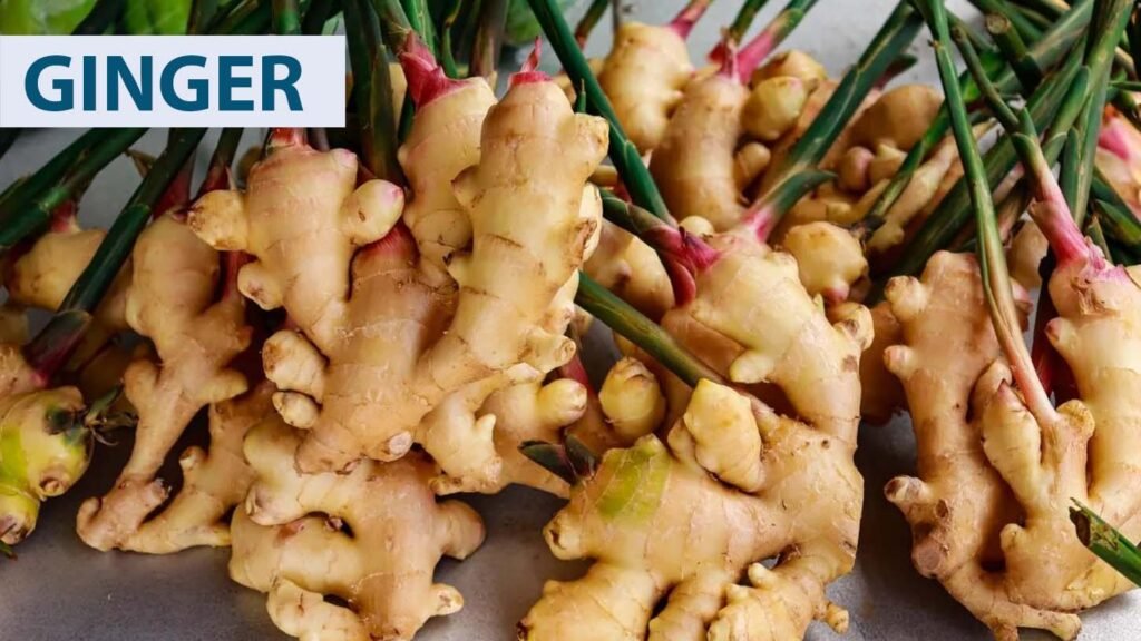 Health-benefits-of-ginger