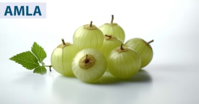 Indian-gooseberry-nutrition