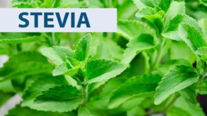 Health benefits of Stevia